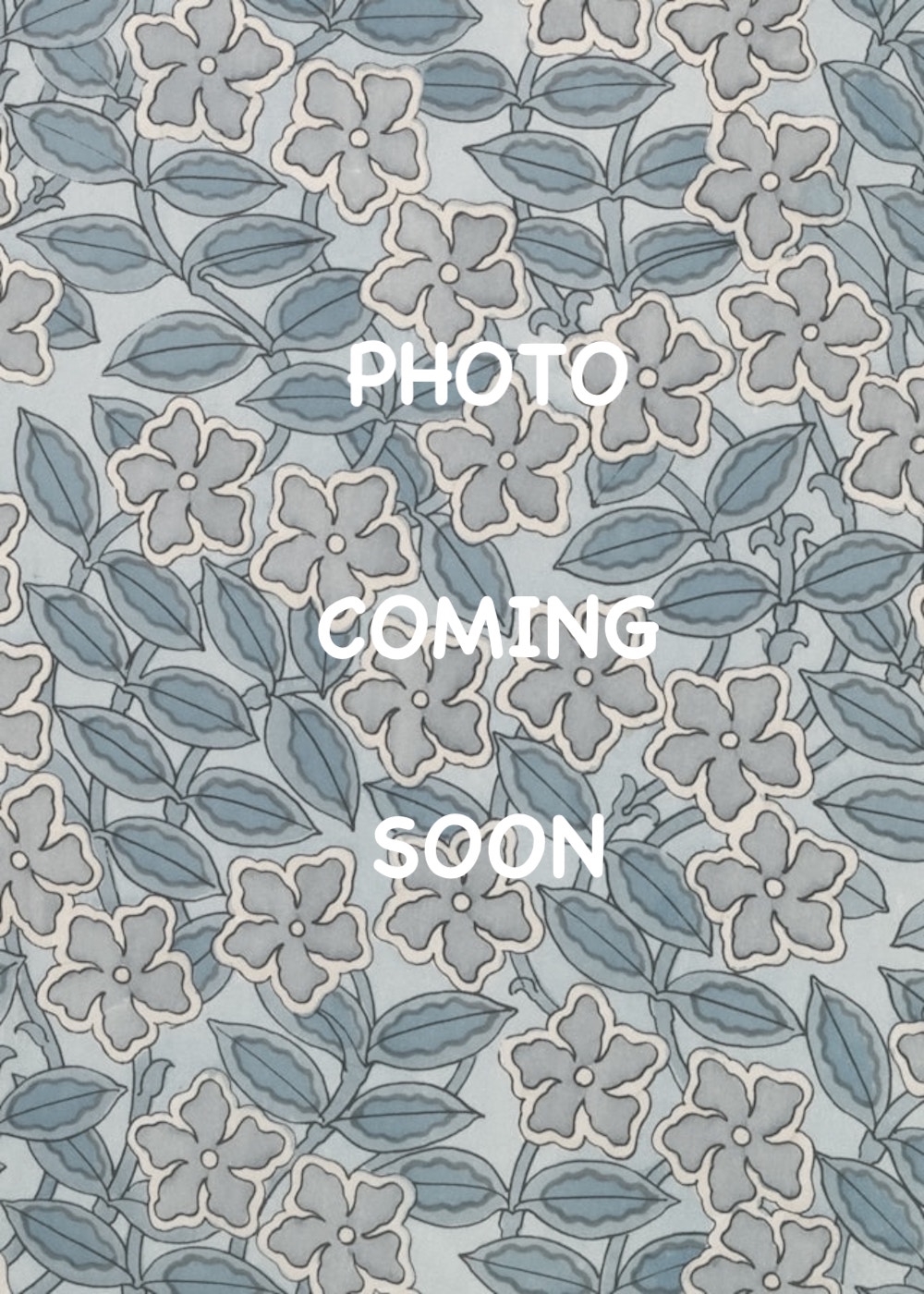 Picture of Katie Huizenga